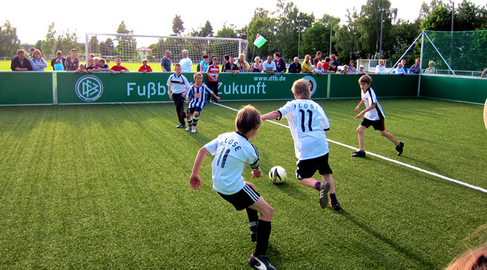 DFB 1000 Mini Pitches project
